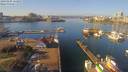 ./images/victoria/wharf/20190205/wharf20190205_113957.jpg