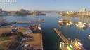 ./images/victoria/wharf/20190205/wharf20190205_114958.jpg