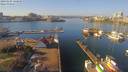 ./images/victoria/wharf/20190205/wharf20190205_120448.jpg