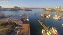 ./images/victoria/wharf/20190205/wharf20190205_120958.jpg