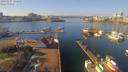 ./images/victoria/wharf/20190205/wharf20190205_121959.jpg