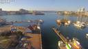 ./images/victoria/wharf/20190205/wharf20190205_124950.jpg