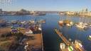 ./images/victoria/wharf/20190206/wharf20190206_110958.jpg