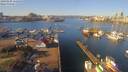 ./images/victoria/wharf/20190206/wharf20190206_111458.jpg