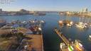 ./images/victoria/wharf/20190206/wharf20190206_122951.jpg