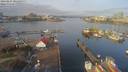 ./images/victoria/wharf/20190207/wharf20190207_095459.jpg