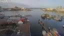 ./images/victoria/wharf/20190207/wharf20190207_101950.jpg