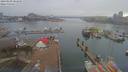 ./images/victoria/wharf/20190208/wharf20190208_082450.jpg