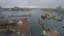 ./images/victoria/wharf/20190208/wharf20190208_085452.jpg