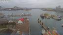 ./images/victoria/wharf/20190208/wharf20190208_091452.jpg