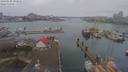 ./images/victoria/wharf/20190208/wharf20190208_093954.jpg