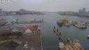./images/victoria/wharf/20190208/wharf20190208_095454.jpg