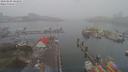 ./images/victoria/wharf/20190208/wharf20190208_101955.jpg