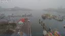 ./images/victoria/wharf/20190208/wharf20190208_102456.jpg