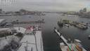./images/victoria/wharf/20190213/wharf20190213_101950.jpg