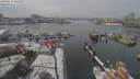 ./images/victoria/wharf/20190215/wharf20190215_122949.jpg