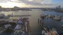 ./images/victoria/wharf/20190216/wharf20190216_152950.jpg
