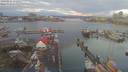 ./images/victoria/wharf/20190217/wharf20190217_072452.jpg