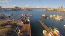 ./images/victoria/wharf/20190217/wharf20190217_112453.jpg
