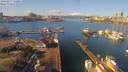 ./images/victoria/wharf/20190217/wharf20190217_112954.jpg