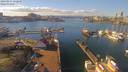 ./images/victoria/wharf/20190217/wharf20190217_132449.jpg