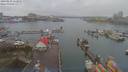 ./images/victoria/wharf/20190219/wharf20190219_112955.jpg