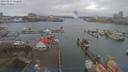 ./images/victoria/wharf/20190219/wharf20190219_122458.jpg
