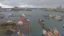 ./images/victoria/wharf/20190219/wharf20190219_125949.jpg