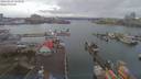./images/victoria/wharf/20190219/wharf20190219_133951.jpg