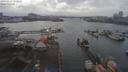 ./images/victoria/wharf/20190219/wharf20190219_151453.jpg