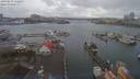 ./images/victoria/wharf/20190219/wharf20190219_152454.jpg