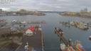 ./images/victoria/wharf/20190220/wharf20190220_082454.jpg