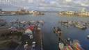 ./images/victoria/wharf/20190220/wharf20190220_100958.jpg