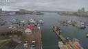 ./images/victoria/wharf/20190220/wharf20190220_110951.jpg