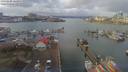 ./images/victoria/wharf/20190220/wharf20190220_121953.jpg