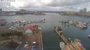./images/victoria/wharf/20190220/wharf20190220_125455.jpg