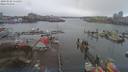 ./images/victoria/wharf/20190222/wharf20190222_111455.jpg