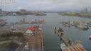 ./images/victoria/wharf/20190223/wharf20190223_084955.jpg