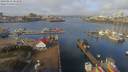 ./images/victoria/wharf/20190223/wharf20190223_101950.jpg