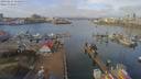 ./images/victoria/wharf/20190223/wharf20190223_111953.jpg