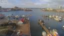 ./images/victoria/wharf/20190223/wharf20190223_112453.jpg