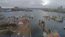 ./images/victoria/wharf/20190223/wharf20190223_125458.jpg