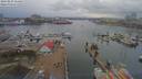 ./images/victoria/wharf/20190223/wharf20190223_154456.jpg