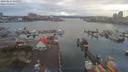 ./images/victoria/wharf/20190224/wharf20190224_074957.jpg