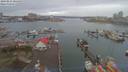 ./images/victoria/wharf/20190224/wharf20190224_085450.jpg