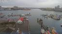./images/victoria/wharf/20190224/wharf20190224_101954.jpg