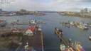 ./images/victoria/wharf/20190224/wharf20190224_111957.jpg