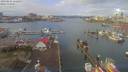./images/victoria/wharf/20190224/wharf20190224_112457.jpg