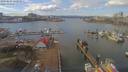./images/victoria/wharf/20190224/wharf20190224_122951.jpg