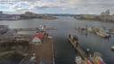 ./images/victoria/wharf/20190224/wharf20190224_124952.jpg